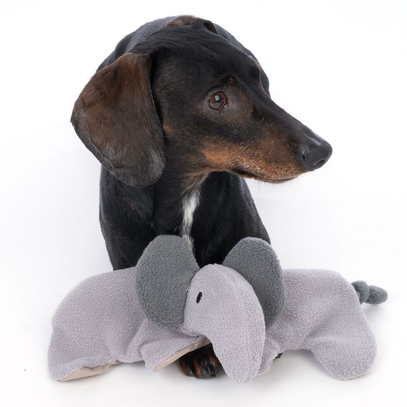 Modern Living Chobe Elephant Plush Dog Toy approx. 25 x 15 x 6 cm (L x W x H)