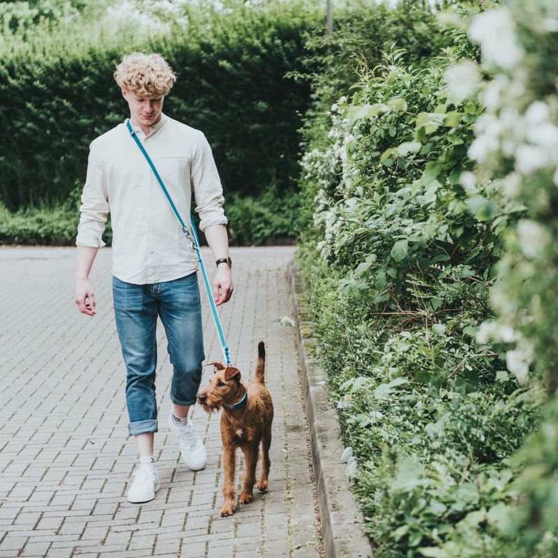 HUNTER Adjustable Lead Hilo - Turquoise 200cm x 20mm (L x W)