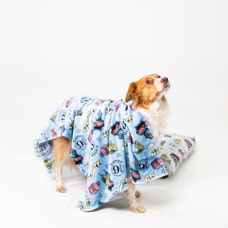 Warner Bros™ Harry Potter Hogwarts Express Pet Blanket 100 x 70 cm (L x W)