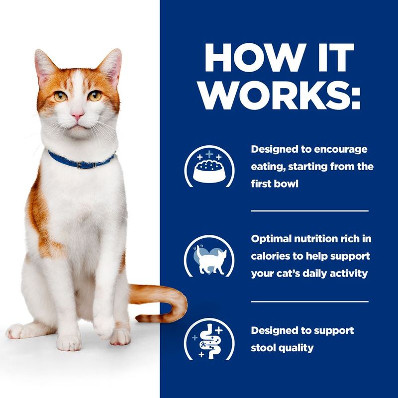 Hill's Prescription Diet On-Care with Chicken 1.5kg