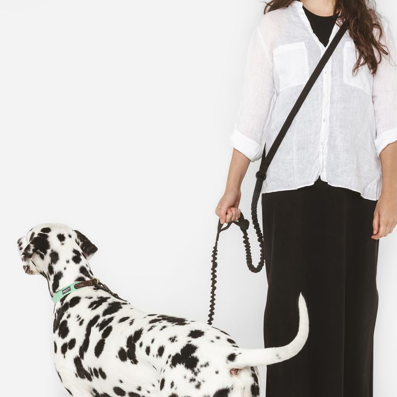 Nomad Tales Spirit Multifunctional Lead 206 - 270 cm long, 20mm wide