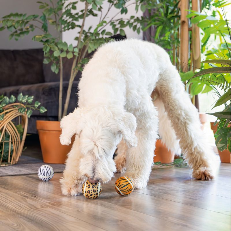 Beeztees Dog Toy Jungle Balls 3 x 6.5cm (W)