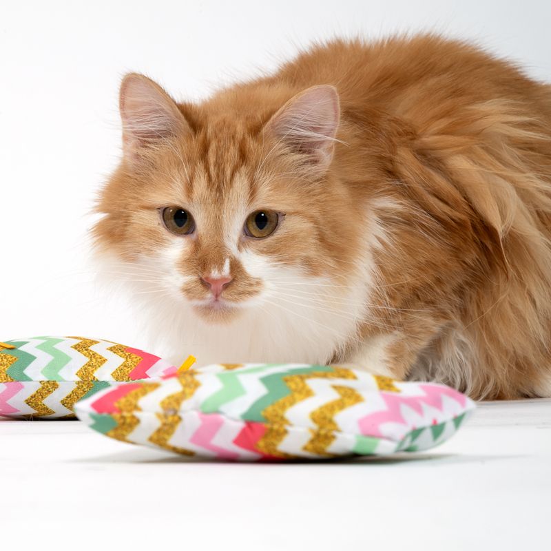 TIAKI Zig Zag Catnip Cushion Set of 2