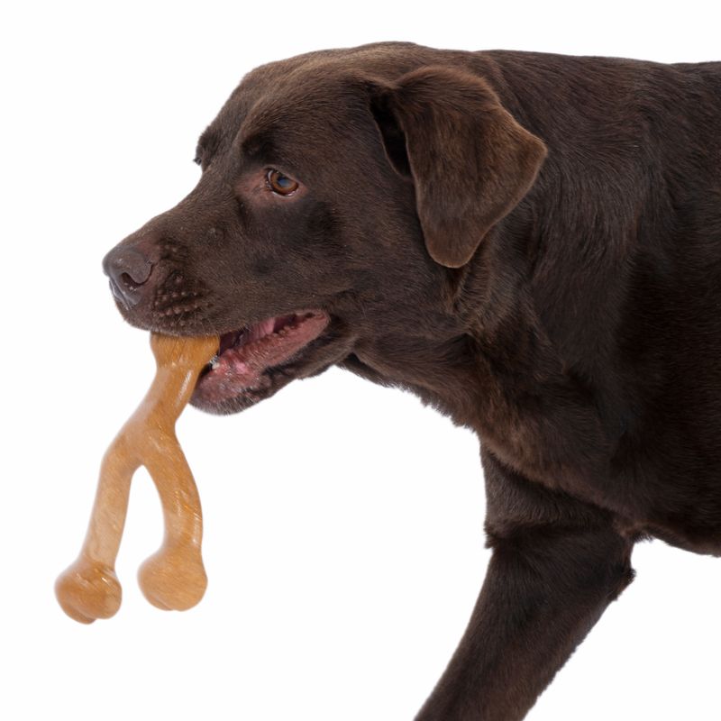 TIAKI Chew Toy with Chicken Flavour 17.5 x 12.8 x 4.7 cm (L x W x H)