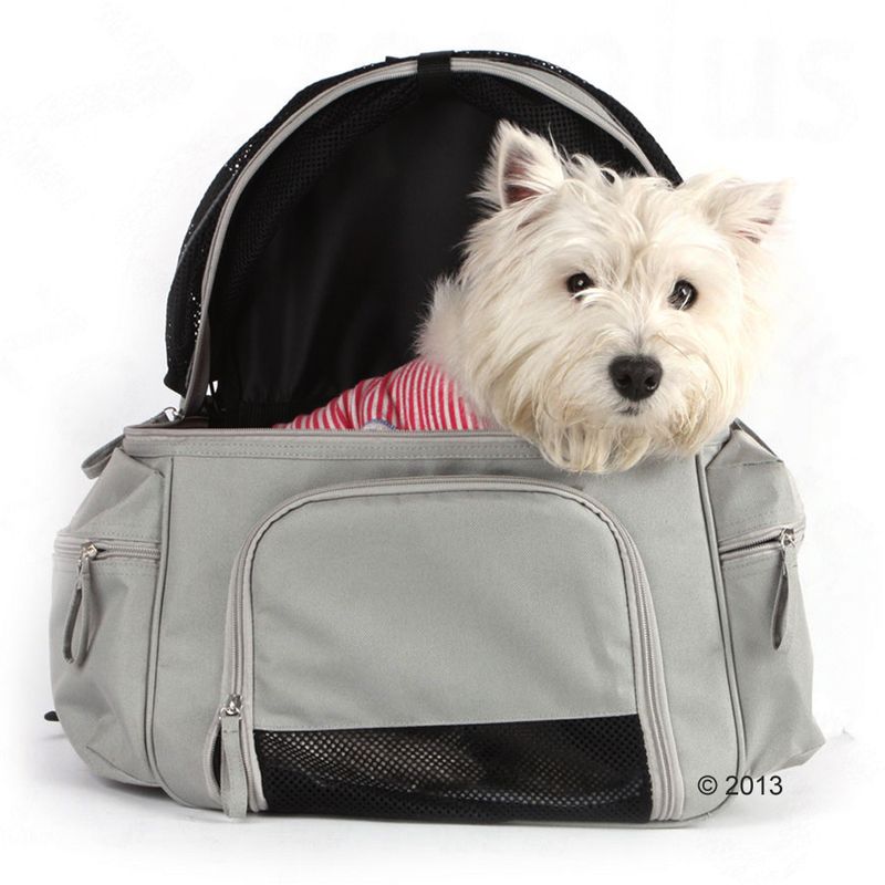 Sightseer Backpack Pet Carrier 32 x 21 x 46 cm (L x W x H)