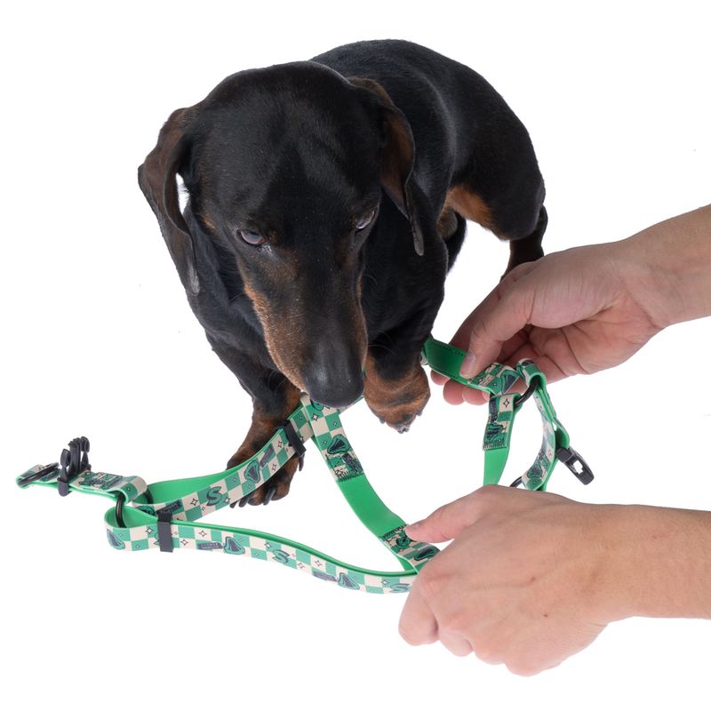 Harry Potter Slytherin Harness - Green Size S: Chest Circumference 39 - 51 cm