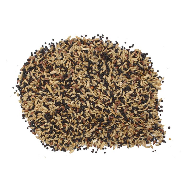 Hugro Canary Food Basic Mix 700g