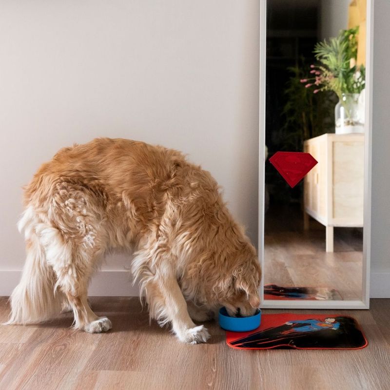 Warner Bros.™ DC Superman Licking Mat 18 x 13 x 1 cm (L x W x H)