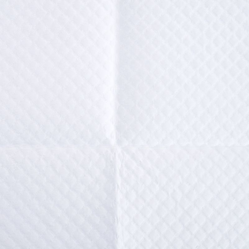 zooplus Basics Training Pads for Puppies 48 x 48 cm (L x W), 50 Pads