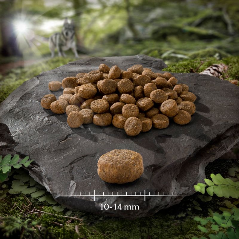 Wolf of Wilderness Junior \