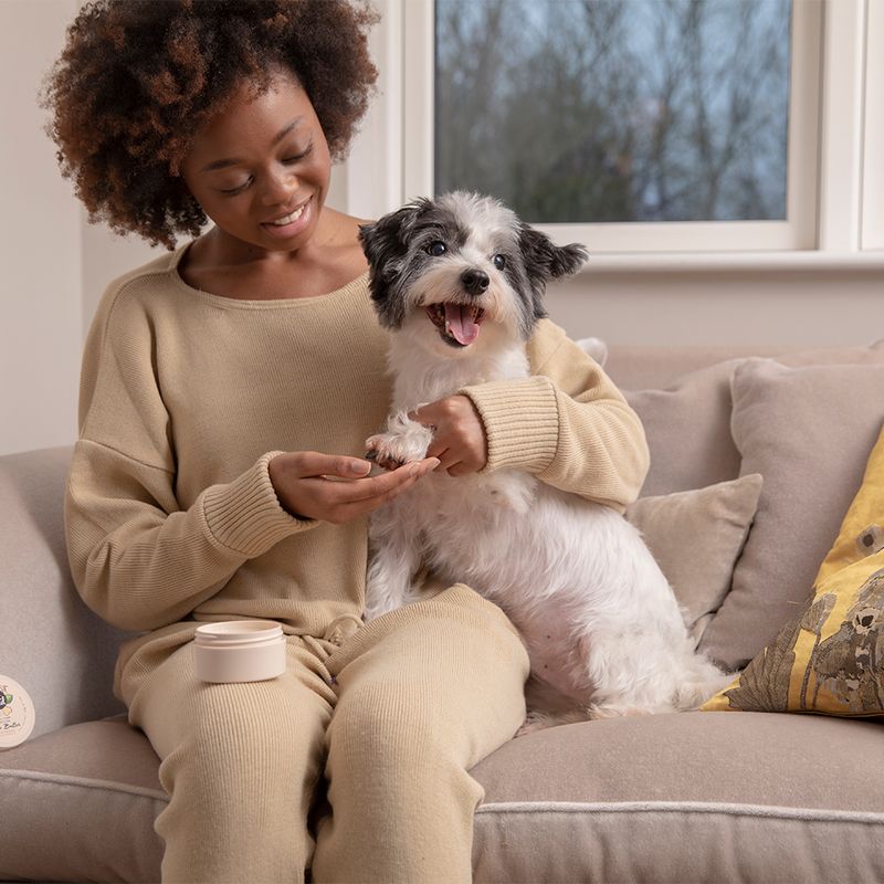 Pet Head On All Paws Paw Butter Oatmeal