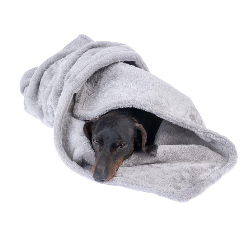 zooplus Basics Cat Blanket 100 x 70 cm (L x W)