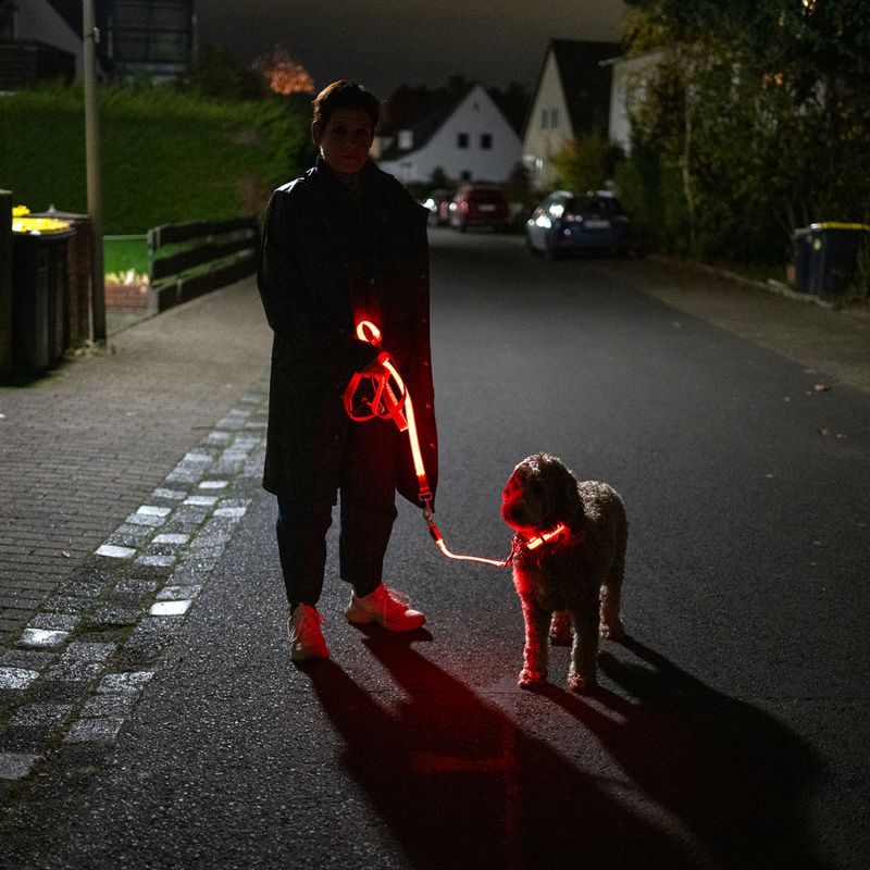 Nomad Tales Spirit USB LED Orange Jogging Lead 180 - 250cm x 25mm (L x W)