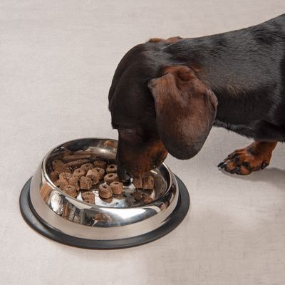 TIAKI Elemental Anti-Slip Stainless Steel Bowl 425ml, diameter 21cm