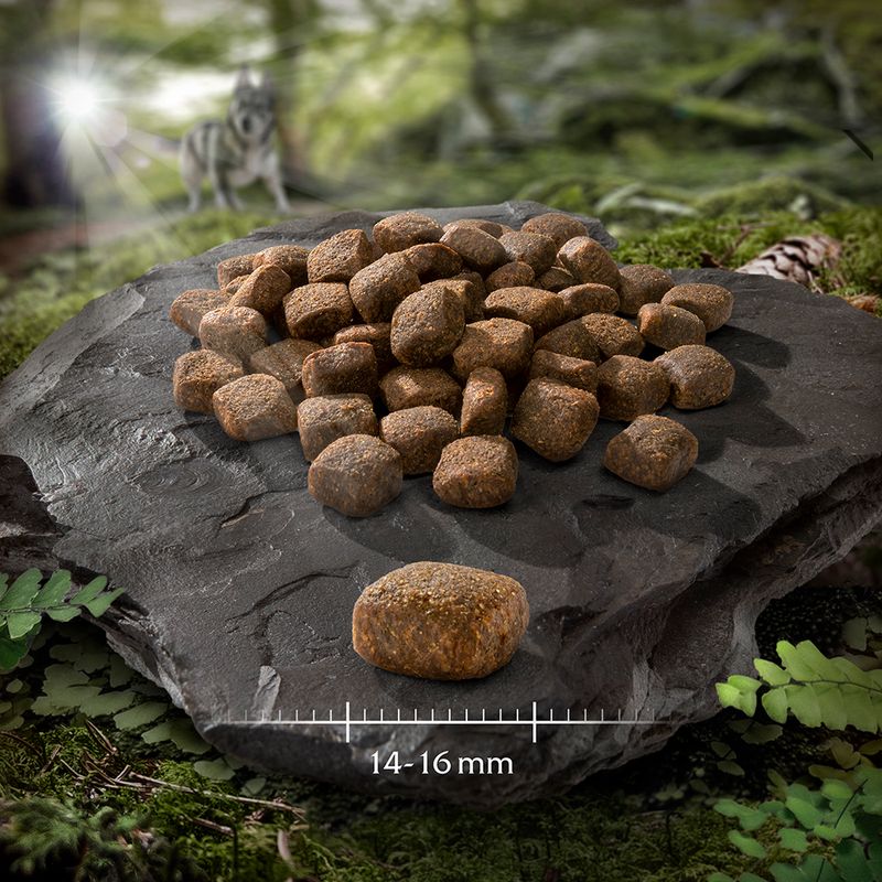 Wolf of Wilderness Soft \