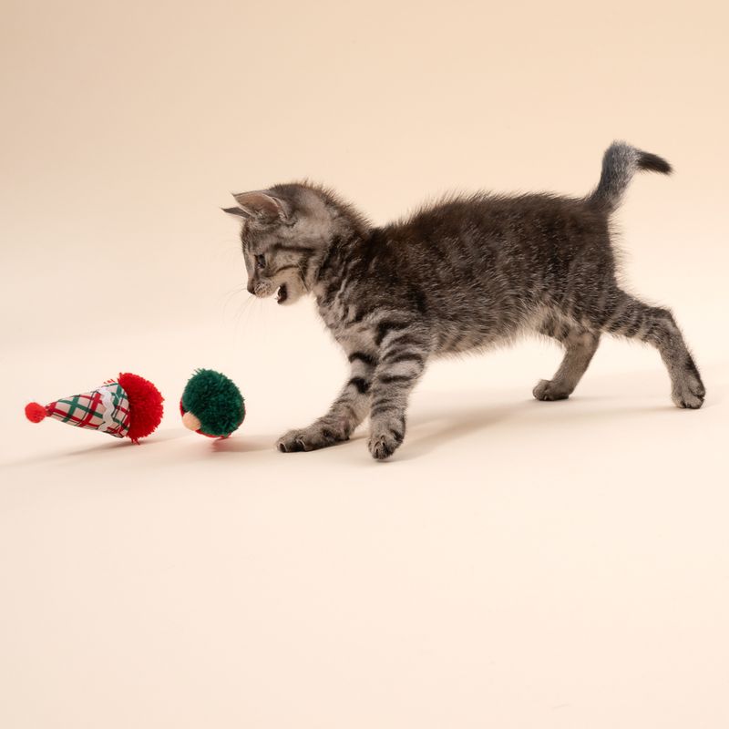 TIAKI Festive Gonk Cat Toy Set Set of 2