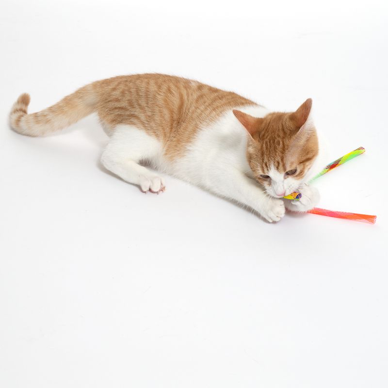 TIAKI Finger Trap Cat Toy Set Set of 4