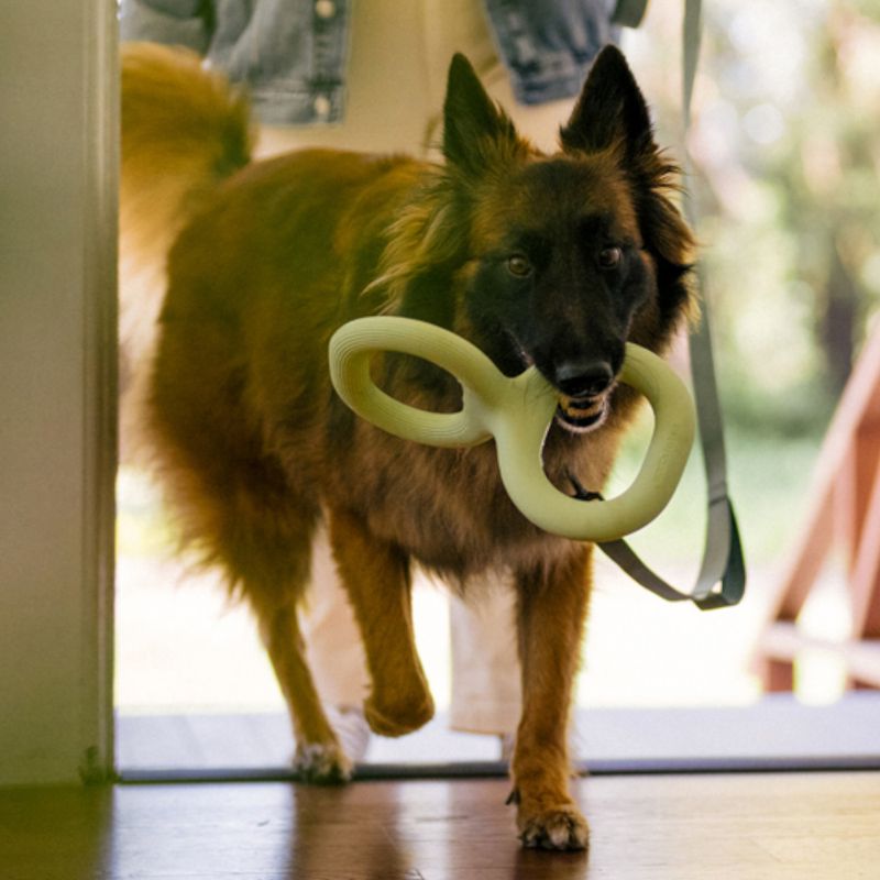 Earth Rated Natural Rubber Tug Toy Size S: 14 x 22.6cm (L x W)