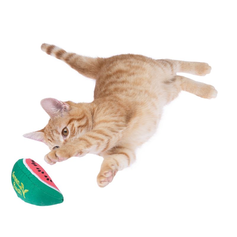 TIAKI Watermelon Catnip Toy 1 Toy