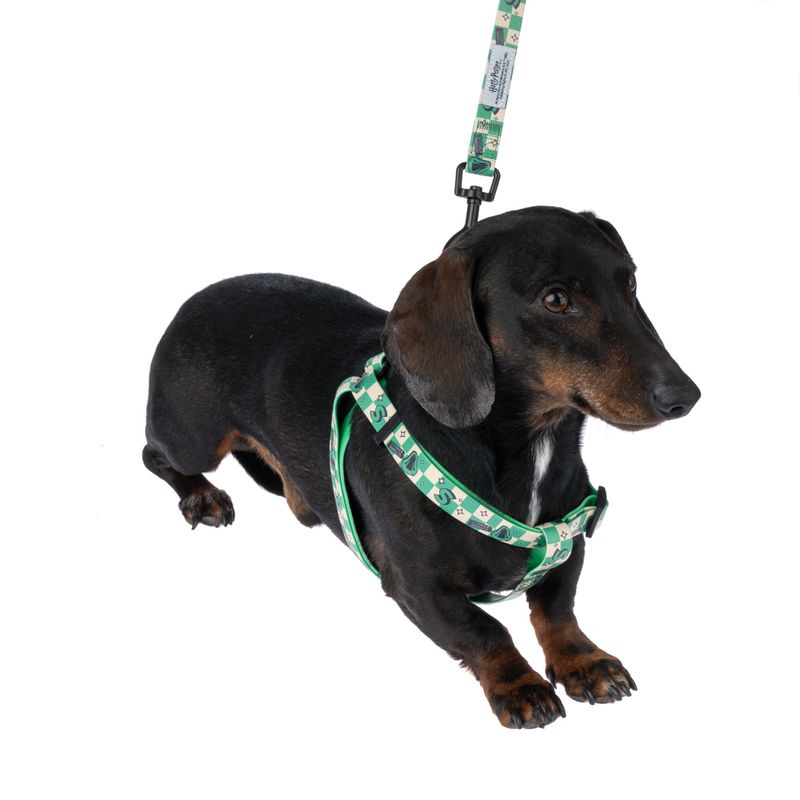 Harry Potter Slytherin Harness - Green Size S: Chest Circumference 39 - 51 cm