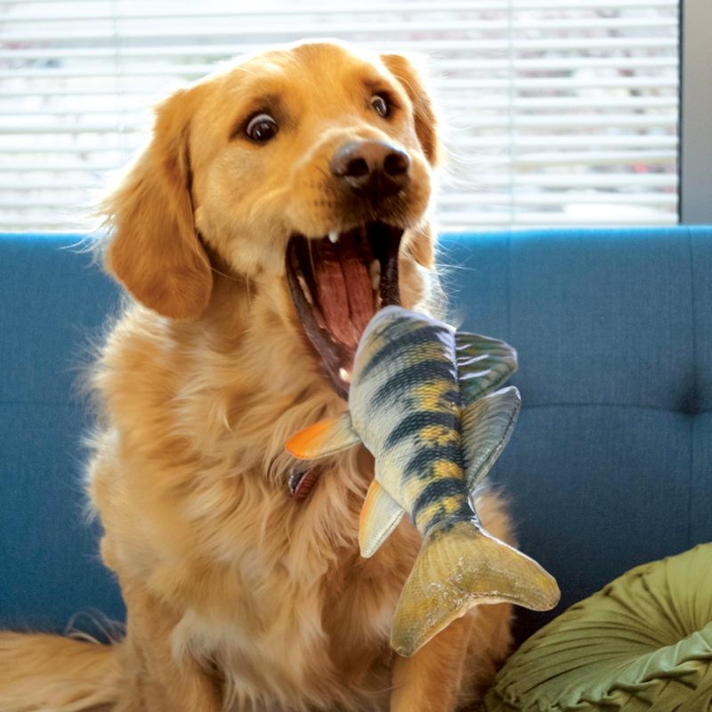 KONG Water Toy Wild Shieldz Perch Size M: 28 x 5 x 7.6cm (L x W x H)