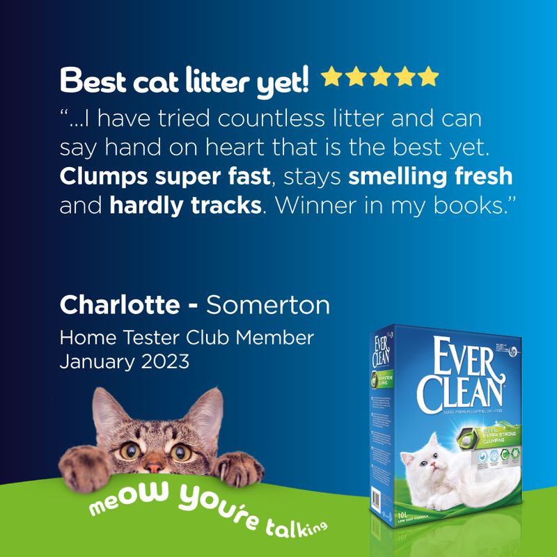 Ever Clean® Extra Strong Clumping Cat Litter - Scented 10l