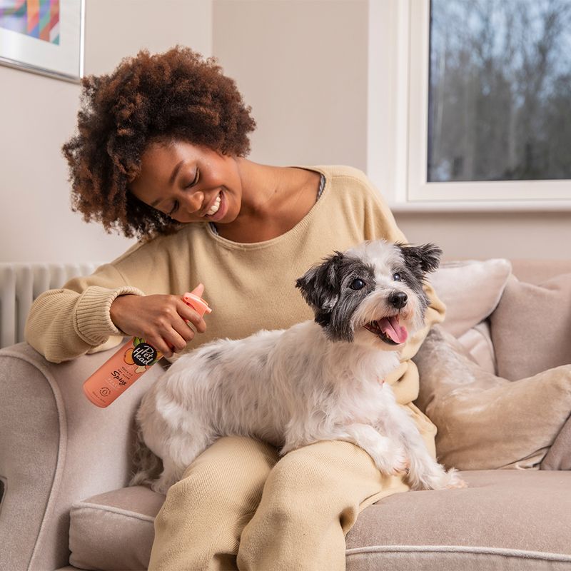 Pet Head Quick Fix Spray 300ml