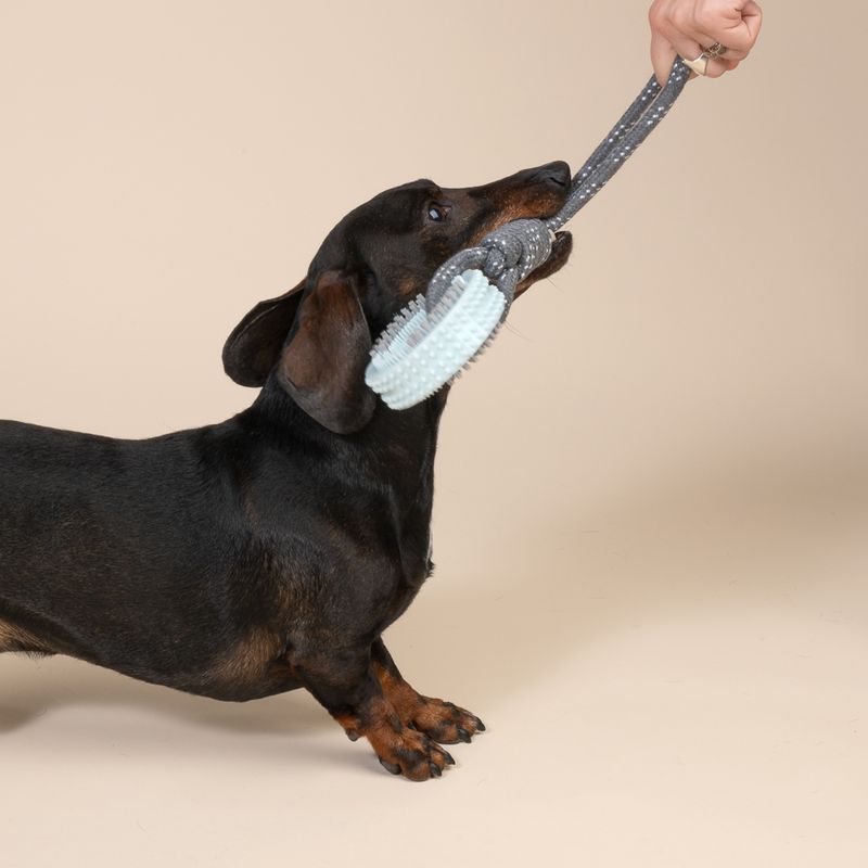 TIAKI Spiky Wheel Chew Toy with Rope approx. 30 x 9 x 4 cm (L x W x H)