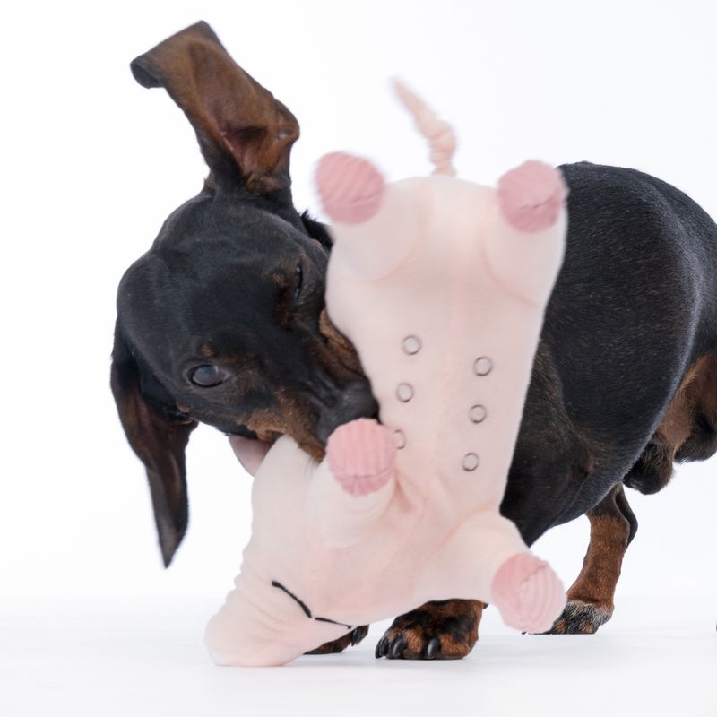 TIAKI Oink Pig Plush Squeaker Toy approx. 25.5 x 7 x 14 cm (L x W x H)