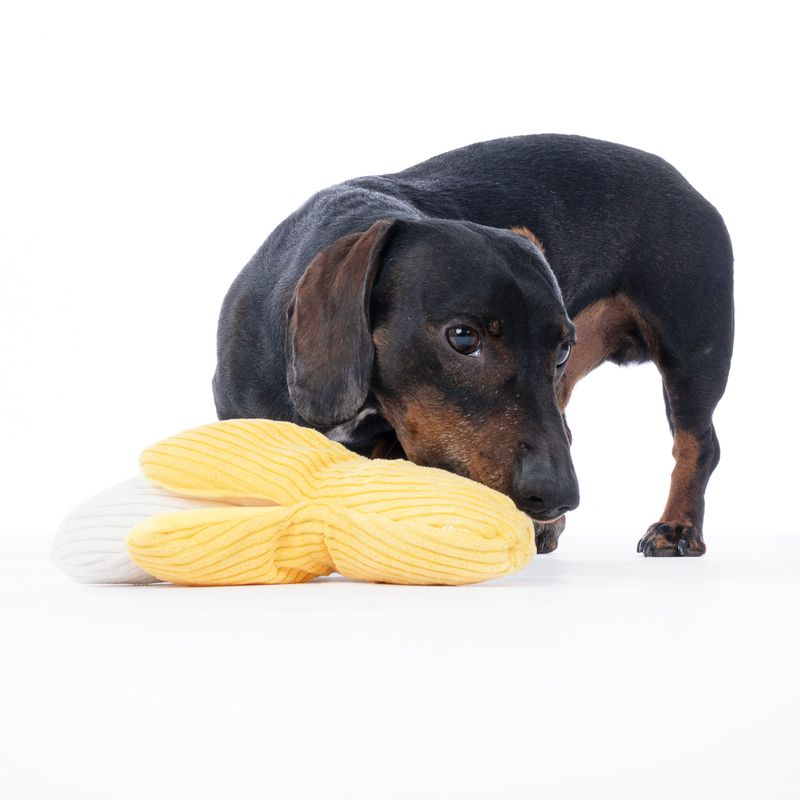 TIAKI Happy Banana Plush Dog Toy approx. 20 x 6.5 cm (L x W)