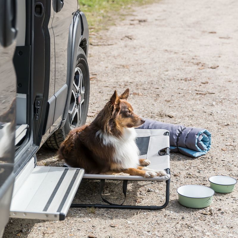 Trixie Dog Lounger 120 x 70 x 19cm (L x W x H)