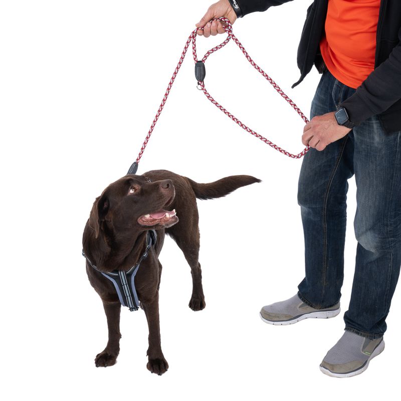 TIAKI Reflective Braided Leash Length: approx. 180 cm