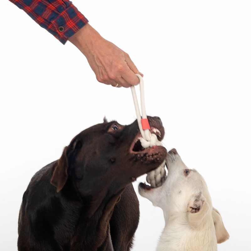 TIAKI Dog Toy Rope Stick L 36.5 x Ø 5.5 cm