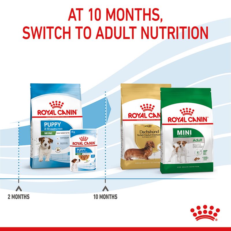 Royal Canin Mini Puppy 2kg