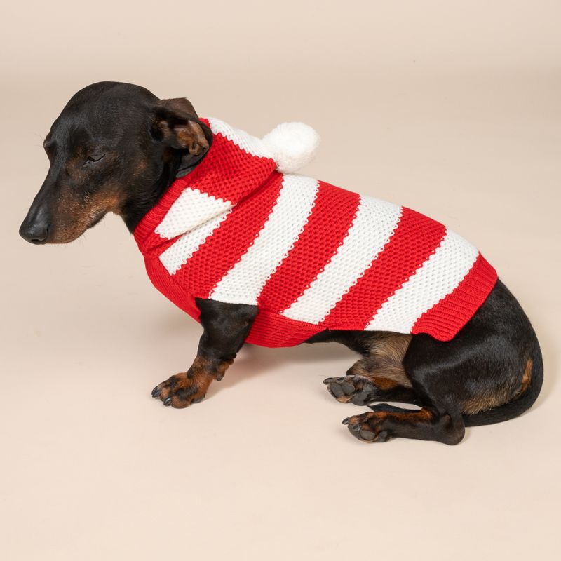 TIAKI Red Striped Jumper for Dogs Size M: approx. 30.5cm Back Length