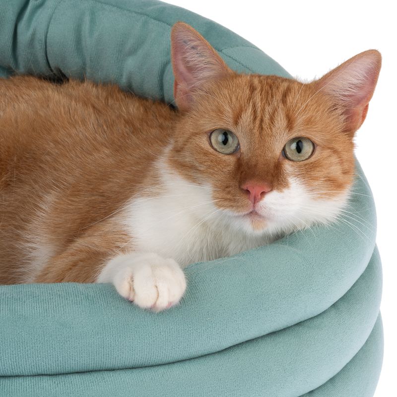 TIAKI Poppy Cosy Bed 45 x 28cm (approx.)