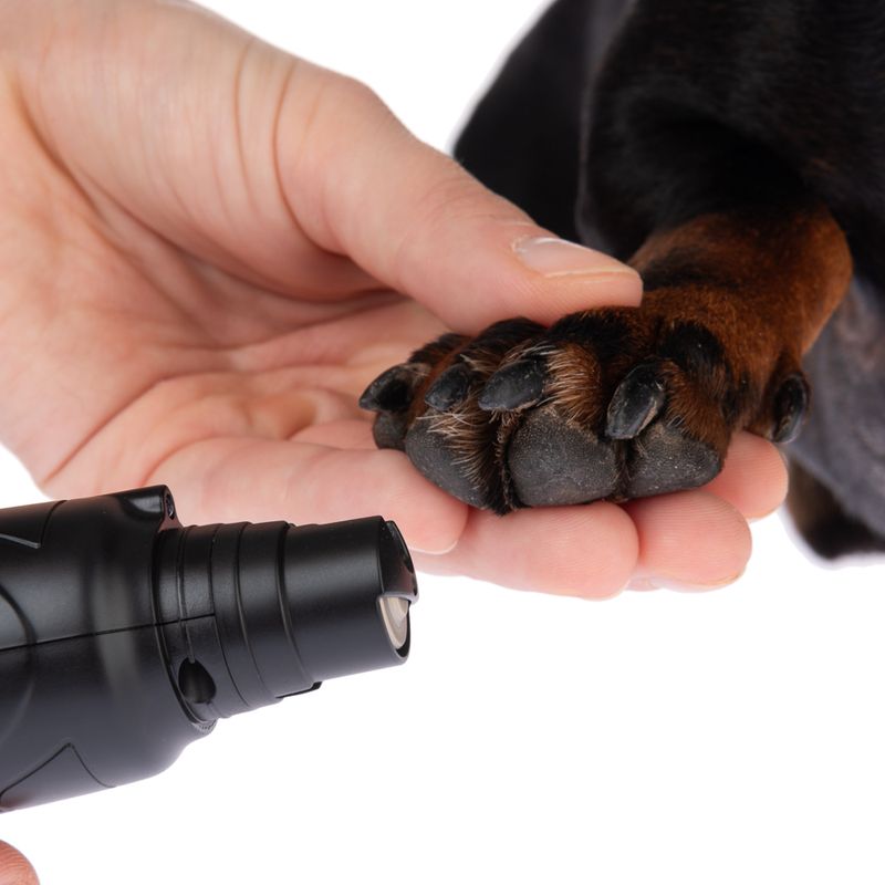 kooa Cordless Claw Sander 1 piece