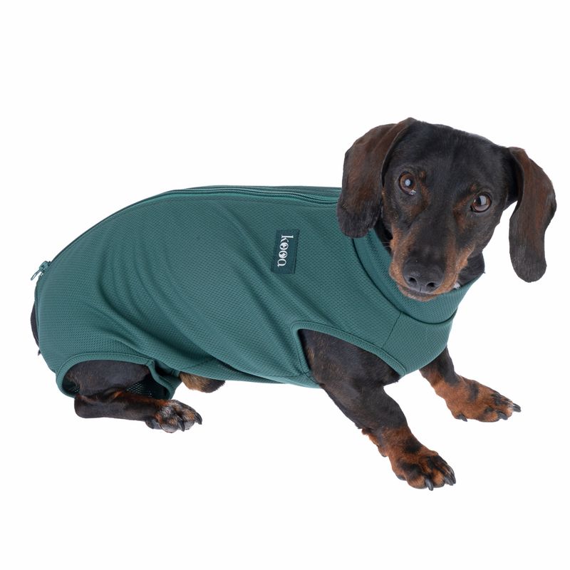 kooa OP-Bodysuit for Male Dogs Size S: approx. 35cm back length