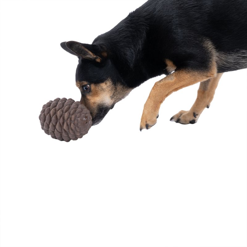 TIAKI Pine Cone Puzzle Toy 1 Toy