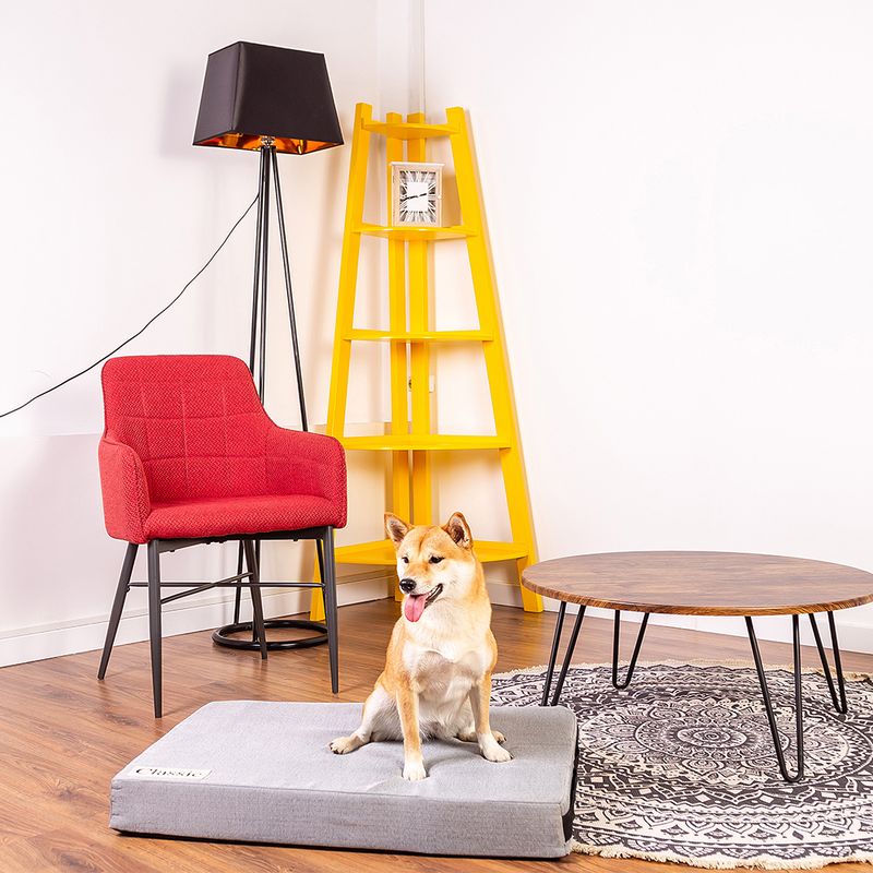 Classic Dog Mattress 80 x 55 x 10 cm (L x W x H)