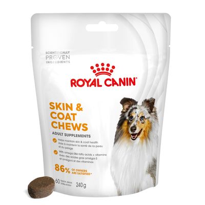 Royal Canin Skin & Coat Adult Supplement Chews 240g (60 pieces)
