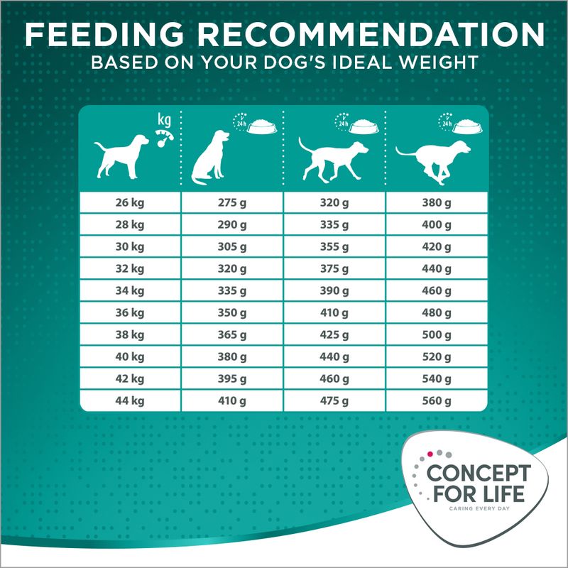 Concept for Life Large Adult 1.5kg
