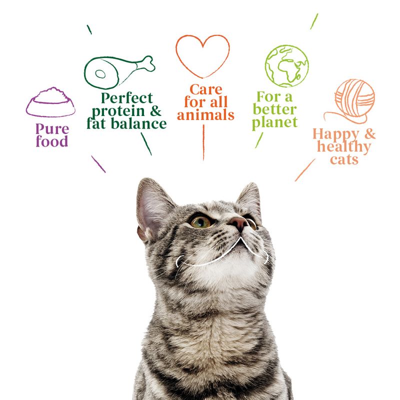 Yarrah Organic Fillets in Sauce 14 x 85g Organic Beef