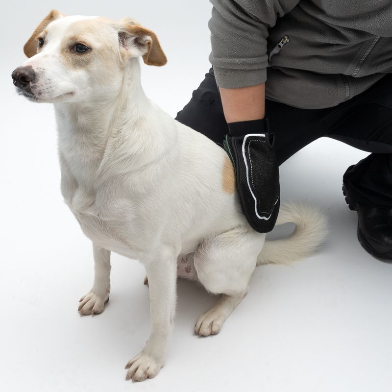 kooa Double-sided Grooming Glove 1 Glove