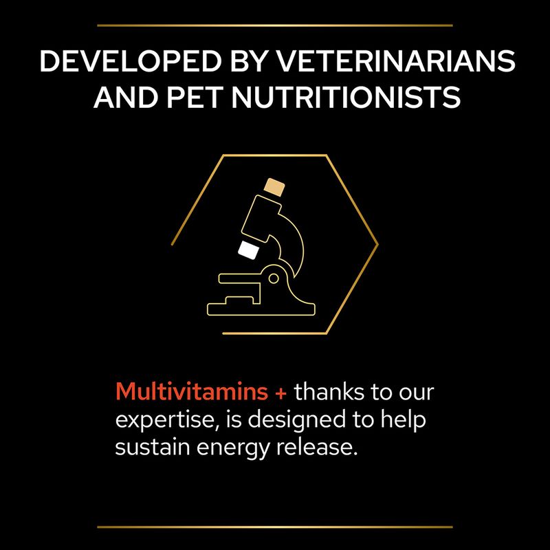 PRO PLAN Dog Multivitamins Supplement Tablet 67g (45 Tablets)