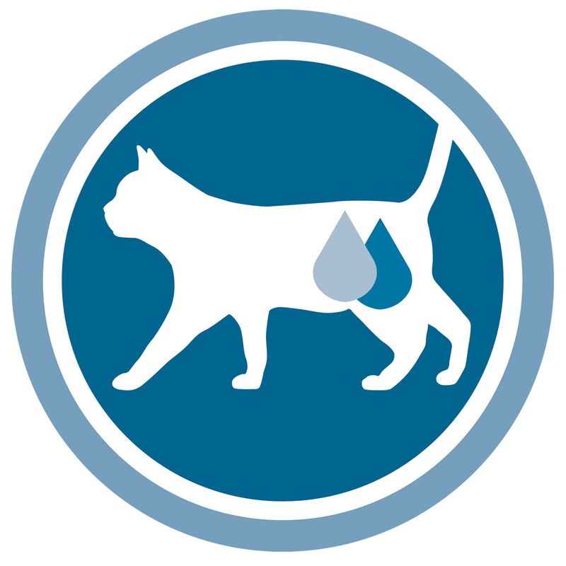 PURINA ONE Sterilised Cat 8 x 85g