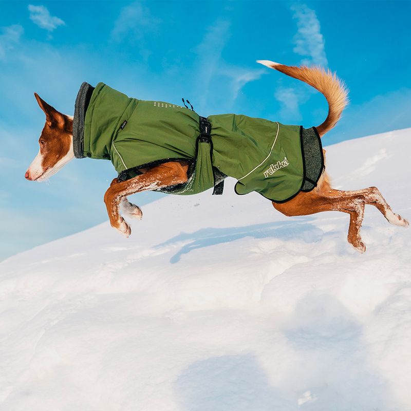 Rukka® Warmup Dog Coat - Olive approx. 80cm back length