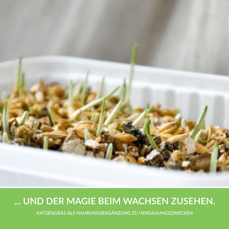 GimCat Hydro-Grass 150g