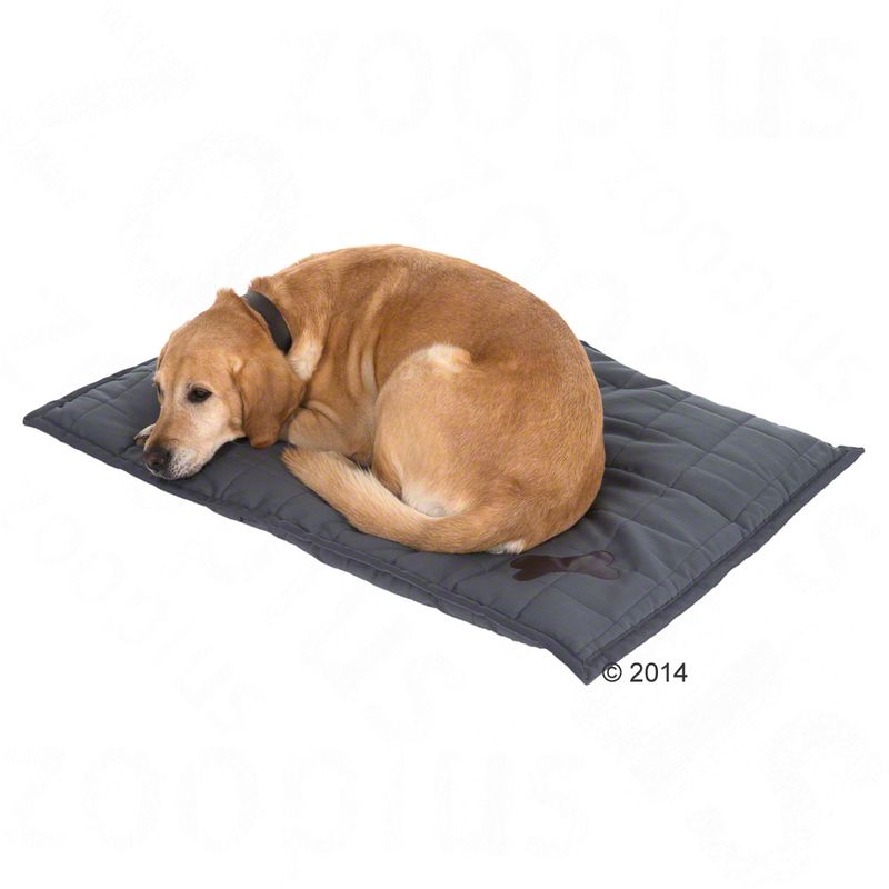 Freedom Bone cushion 100 x 70 x 4 cm (L x W x H)
