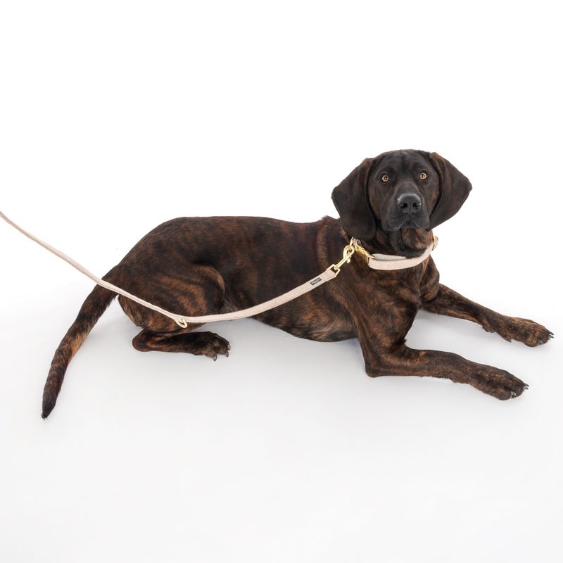 Nomad Tales Calma Collar, sand Size XS: 24 - 36 cm neck circumference, W 10 mm